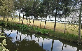 cabaña el rio 2